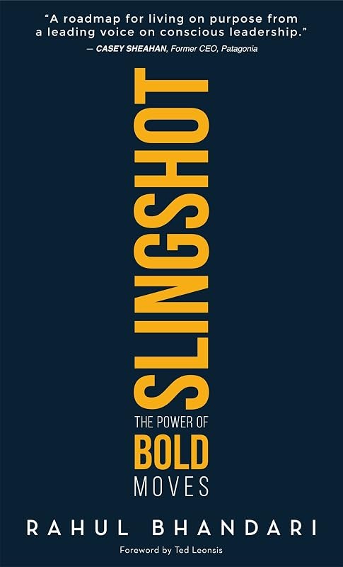 SLINGSHOT: The Power of Bold Moves — atomic habits book for atomic habits book
