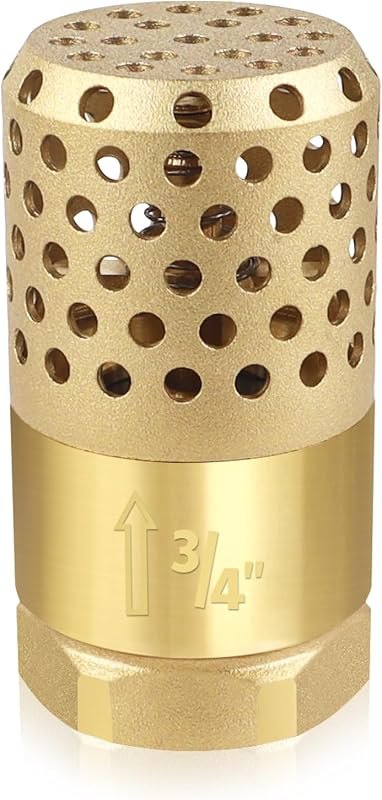 Brass Foot Valve 3/4 inch NPT Heavy Duty Spring Mesh Check Valve Female Connection One Way Foot Valves Backflow