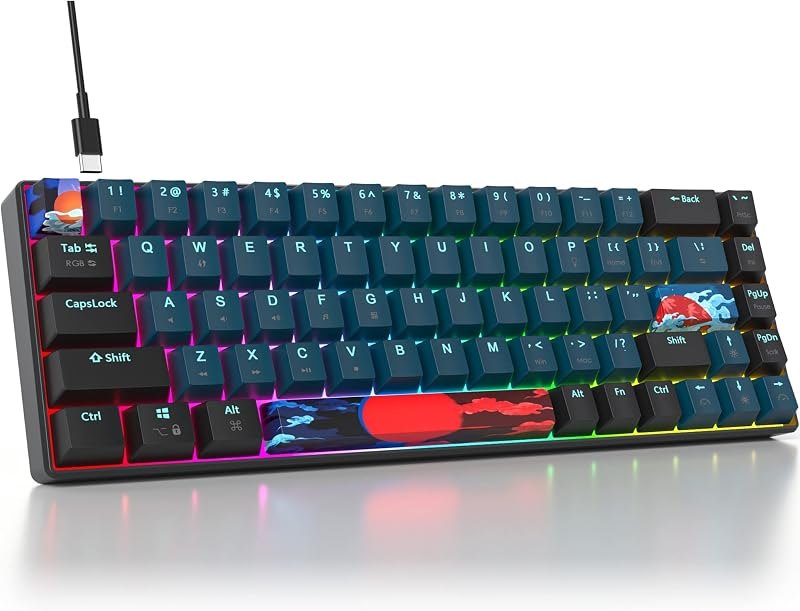 65 Percent Mechanical Gaming Keyboard 68 Keys RGB Gaming Keyboard with Red Switch Wired Keyboard for Windows PS4/5