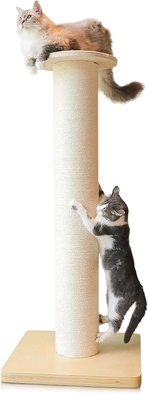 50" Tall Cat Scratching Post, Extra-Large Post for Large Cats