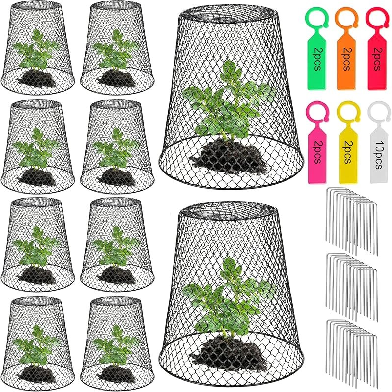 10 Pack 9.13"×9.13" Chicken Wire Cloche Plant Covers - Garden Plant Cloche Metal Heavy Duty Plant Protectors from