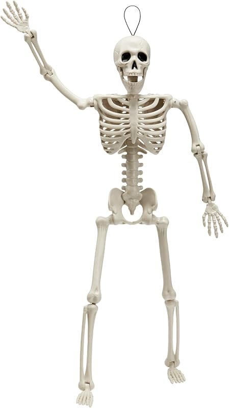 JOYIN 16” Halloween Posable Skeleton Decor, Full Body Skeleton with Movable Joints, Hanging Skeletons for Halloween