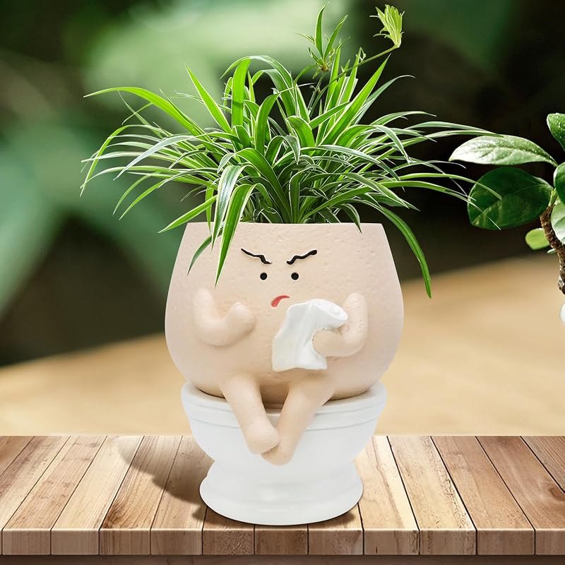 Funny Toilet Plant Pot Self Watering Face Planter for Indoor Plants — self watering planter for self watering planter
