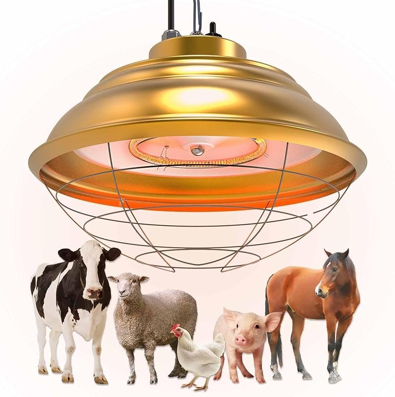 600 Watt Large Range Chicken Coop Heater - Professional Heat Lamp for Chicken, Poultry and Livestock — calf heat lamp
