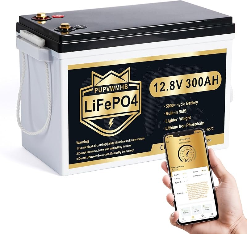 12V 300Ah LiFePO4 Lithium Battery, Bluetooth LifePO4 Battery, Upgraded 200A BMS, 3840Wh Rechargeable Lithium Battery