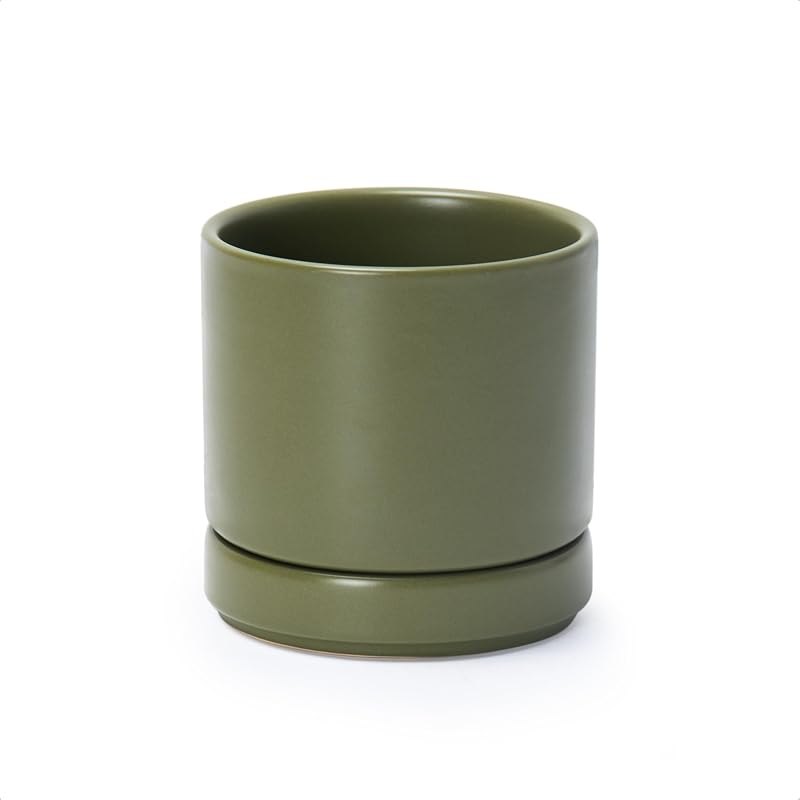 D'vine Dev 4.7 Inch Ceramic Planter Pot, Olive, 94-O-B-J — self watering planter for self watering planter