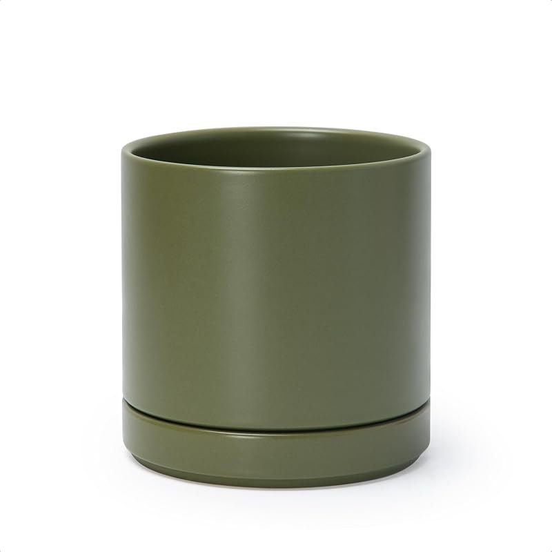 D'vine Dev 6.5 Inch Ceramic Planter Pot, Olive, 94-O-C-J — olive tree planter for olive tree planter
