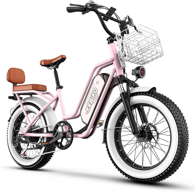 1500W Ebikes for Adults,48V 20/25/60Ah Removable Battery Max Range 80Miles Electric Bike,20"×4" Fat Tire Electric