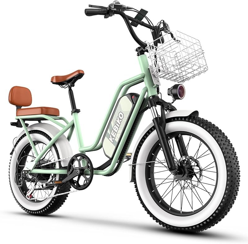 1500W Ebikes for Adults,48V 20/25/60Ah Removable Battery Max Range 80Miles Electric Bike,20"×4" Fat Tire Electric