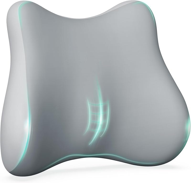 Snailax Lumbar Support Pillow for Office Chair, Back Support Pillow for Back Pain Relief, Memory Foam Back Support