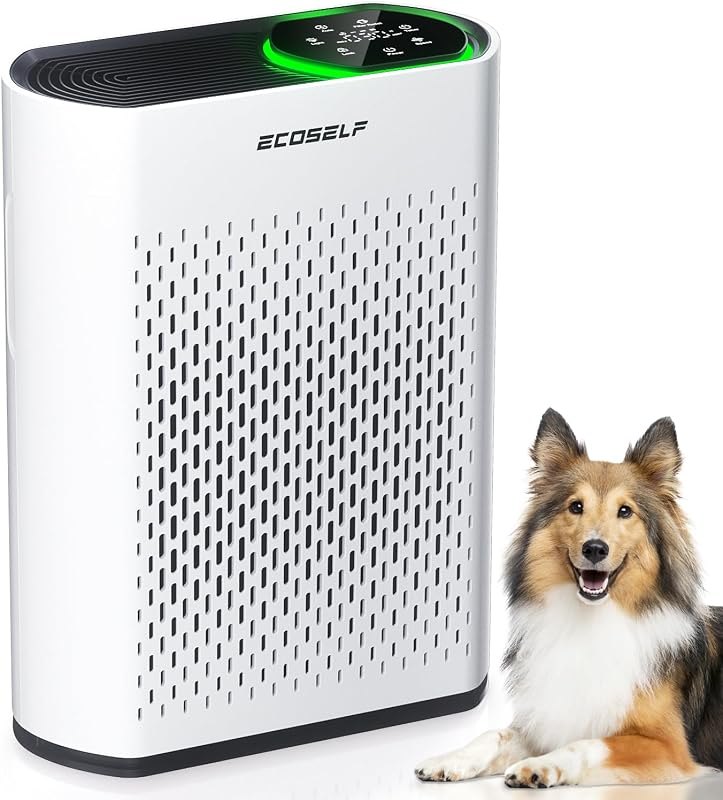 Powerful Air Purifier Up to 2400 Sq Ft, ECOSELF HEPA Air Purifier with PM2.5 Air Quality Display, Ultra-Quiet 20dB