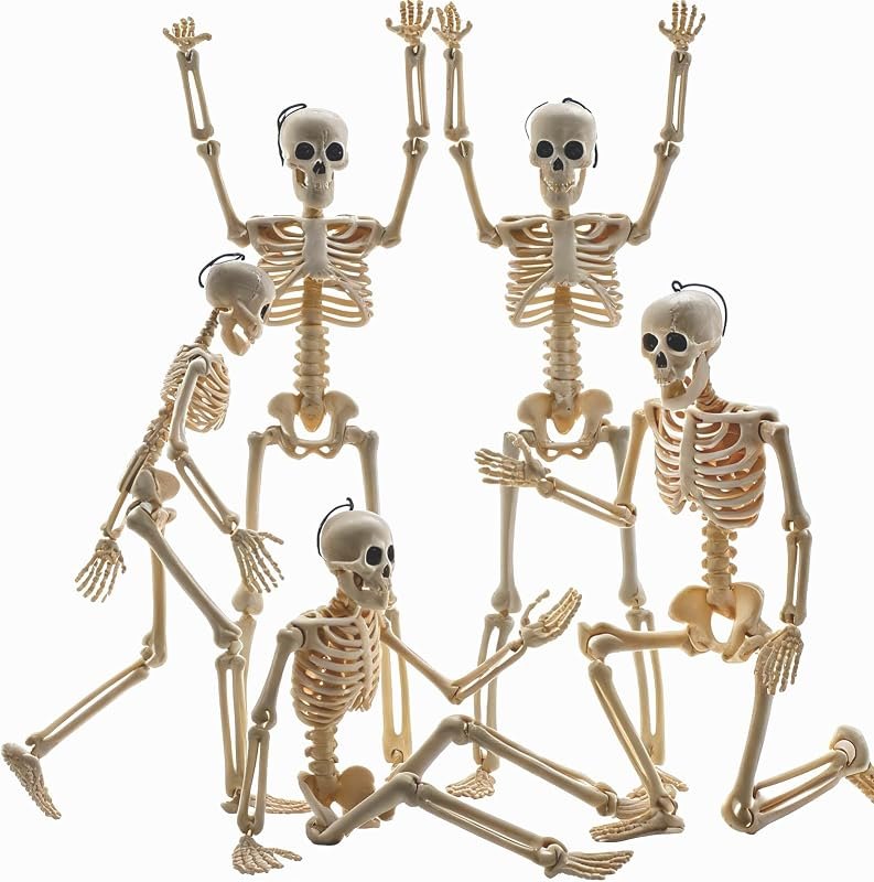 Feir 16" Skeletons Halloween Decorations, 5PCS Posable Full Body — halloween haunted house prop for halloween haunted