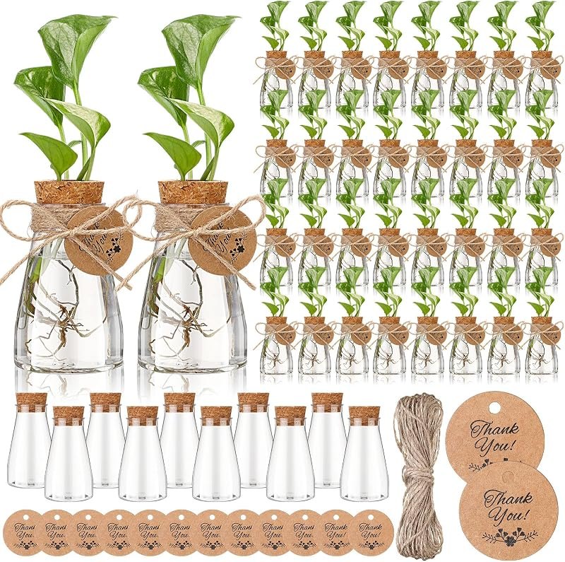 Baderke 12 Pack 3.35'' Plastic Plant Propagation Stations with Hole Lid Planter Vase Clear Propagation Jars with Thank