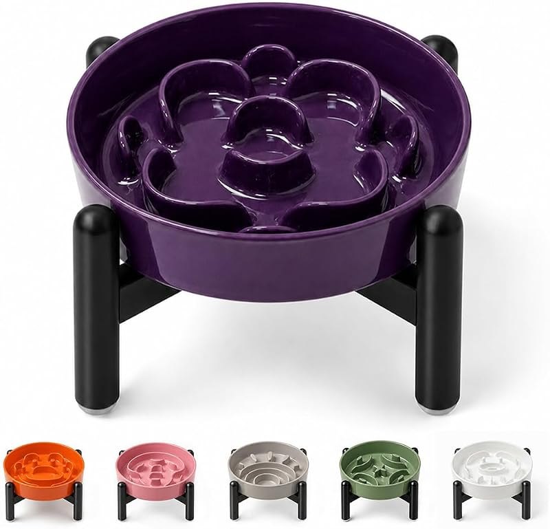 Elevated Slow Feeder Dog Bowl, 0.8 Cups Ceramic Raised Slow Feeder with Stainless Stand, 6.3 Inch Wide Lifted Dog Bowl