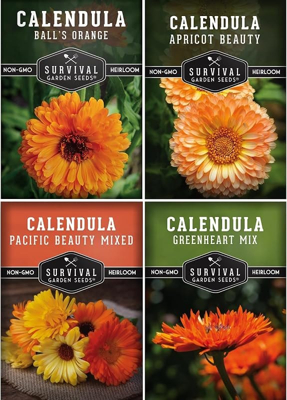 Calendula Seeds for Planting - 4 Variety Collection - Survival Garden Seeds — Fall Planting Seeds for fall planting