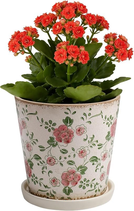 Ceramic Flower Pots for Indoor Plant with Drainage Hole & Saucer — Giant Plant Pot for giant plant pot