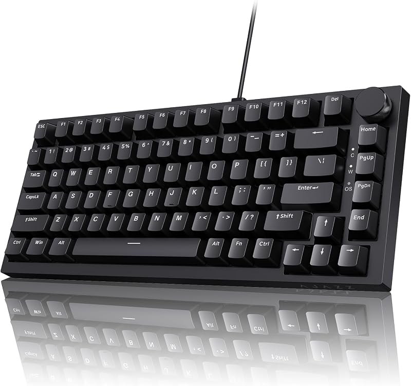 Ajazz AK820 75% Mechanical Gaming Keyboard, Wired Gasket Mount Hot-Swappable Keyboard with Volume Knob, 5-Layer Sound