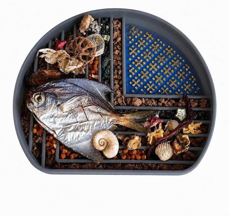 Snack Dish Slow Feeder Bowl for Dogs & Cats — pets slow feeder for pets slow feeder