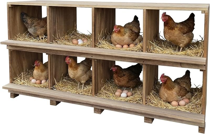 Garvee Nesting Boxes for Chickens, 8 Compartments Chicken Nesting Boxes — wooden chicken coop for wooden chicken coop