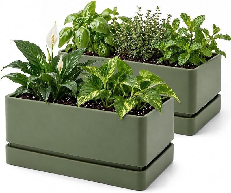 D'vine Dev 2-Pack Rectangular Planters, 12 x 6.5 in, Olive, 76-P-C-2 — olive tree planter for olive tree planter