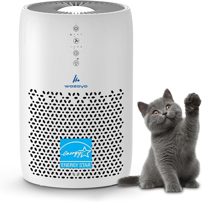 Pure Air PA2 Wozoyo Air Purifier for Home & Bedrooms, AHAM VERIFIDE Covers up to 563 ft², 75 CFM, Filters Smoke, Pet