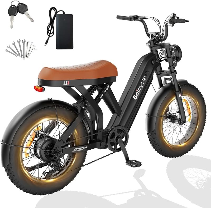 Electric Bike for Adults, 52V 31.5Ah Battery, 3000W Peak 35MPH Ebike, 20"x4.0" Fat Tire Mountain Off-Road Commuter