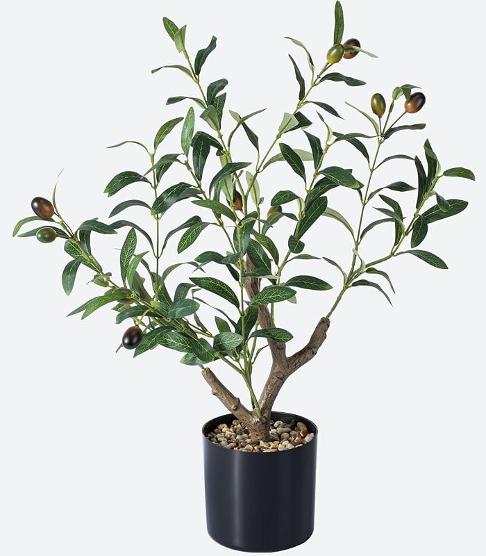 Small Olive Tree - 1.8FT Table Realistic Faux Olive Tree with Thick Trunk, Olive Trees Artificial Indoor Faux Olive