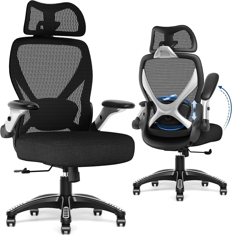 GABRYLLY Ergonomic Office Chair with Headrest, High Back Desk Chair with Flip-Up Arms, Adjustable Lumbar Support