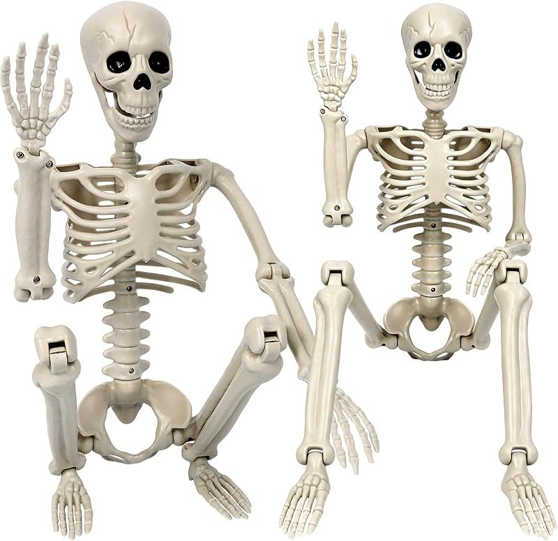2 Pack Skeleton Halloween Decorations-3 ft Full Body Posable Joints — best halloween hanging skeleton for halloween