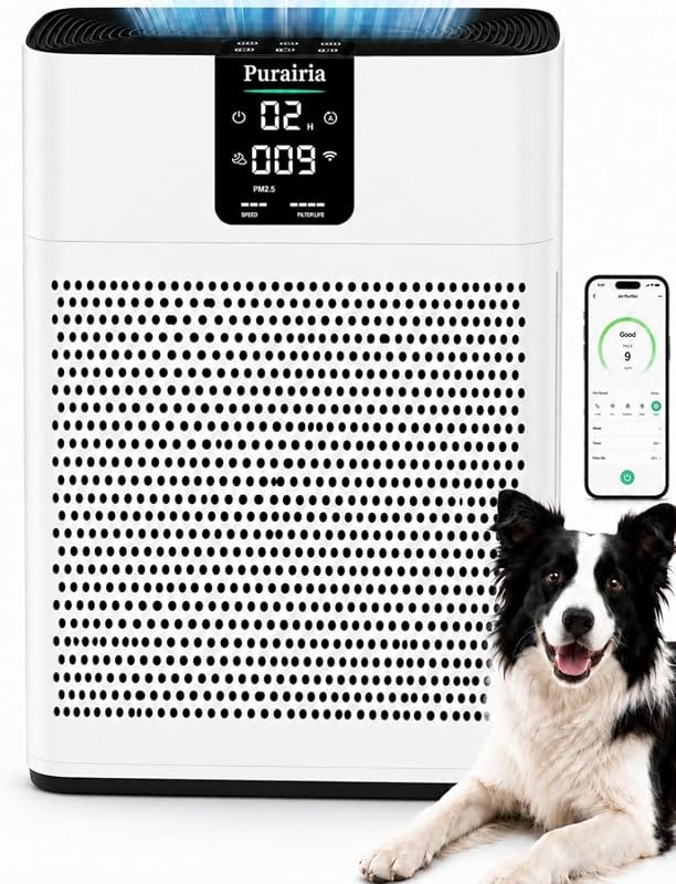 Air Purifier for Home Bedroom Office, HEPA Air Purifiers with 2 Filters