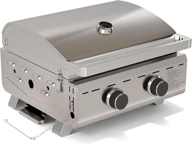 Electactic 20000 BTUs Portable Tabletop Gas Grill, 2 Burners Propane BBQ — portable gas grill for portable gas grill